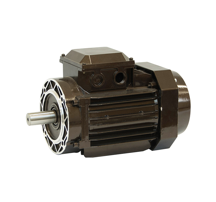 YE3 premium efficiency aluminium motor