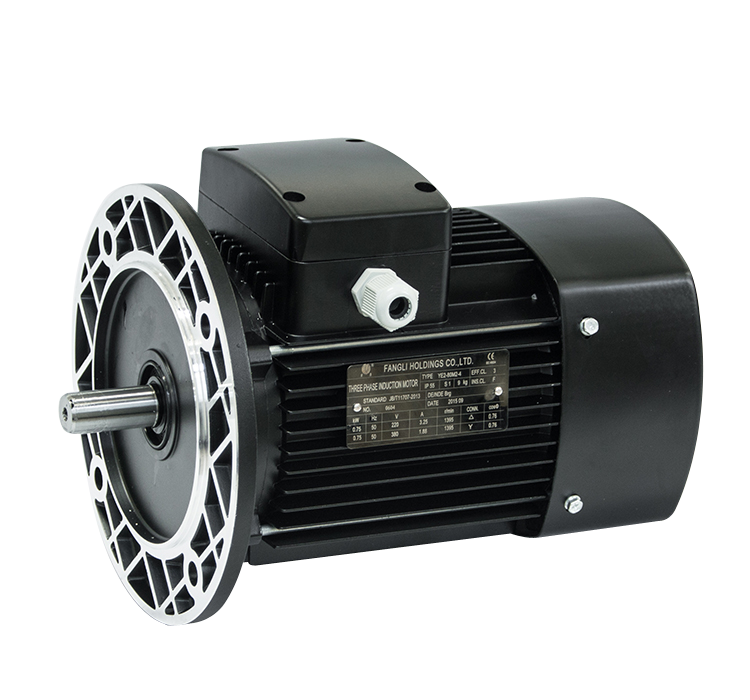 YE2 high efficiency aluminium motor