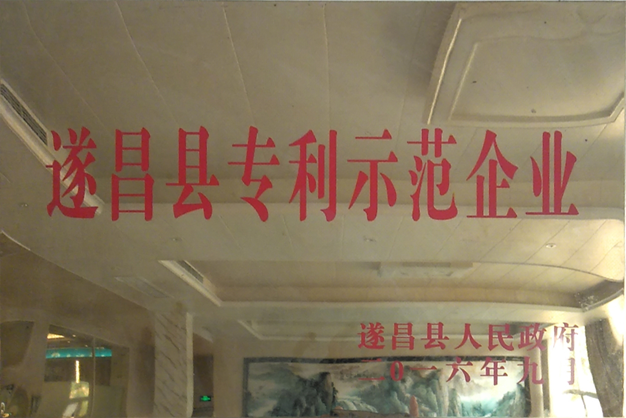 遂昌县专利示范企业