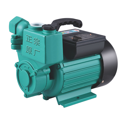 ZDB self-priming pump